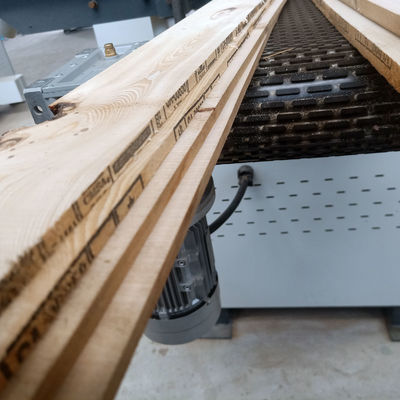 MJ400 Serratura a banda orizzontale automatica per taglio di legno quadrato Larghezza di nastro trasportatore 380 mm