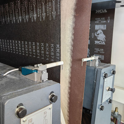 La macchina di levigatura ad assorbimento a vuoto R-R1000 6-14 m/min per pavimenti in legno e porte per armadi