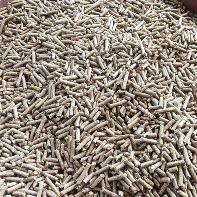 Modello di stampaggio per biomasse e pellet per mangimi